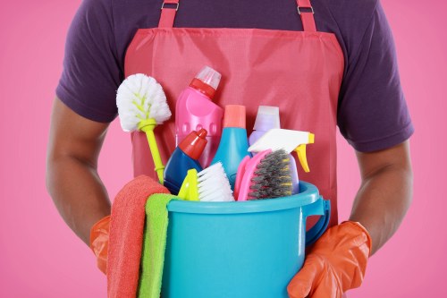 Professional domestic cleaning in a Battersea property