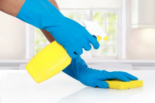 Office cleaners working in a SW11 workplace reception area