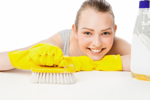 Carpet cleaning service with liability and customer responsibilities