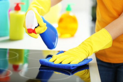 Upholstery cleaning process for a modern living room sofa in SW11