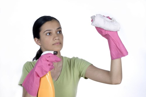 Kitchen appliance cleaning service for homes and businesses in SW11